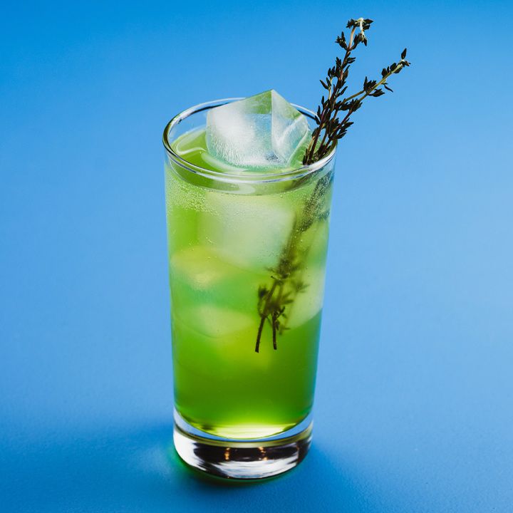 Cobra Verde
