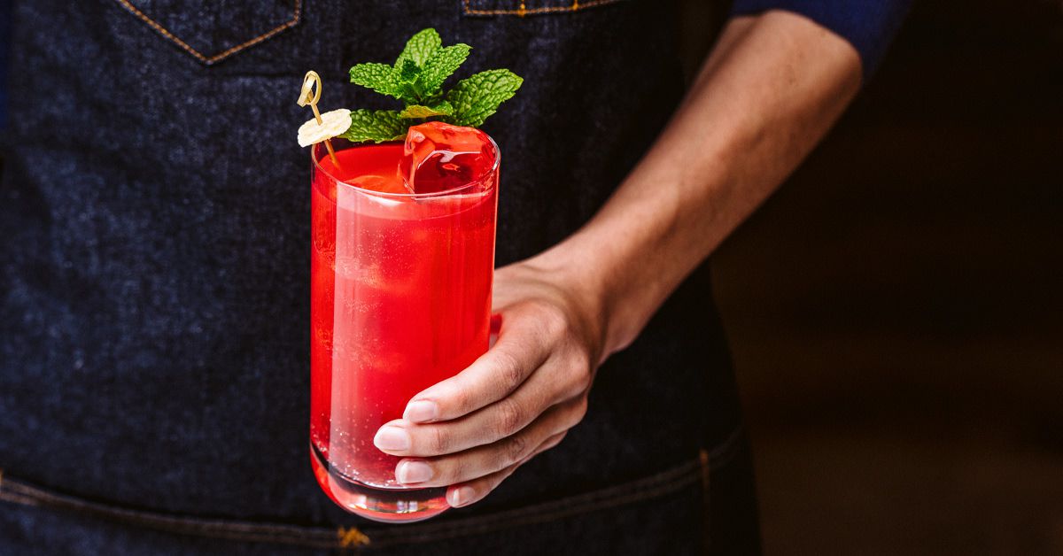 Dead Sea Mule