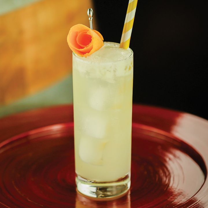 Ginger Gin Fizz