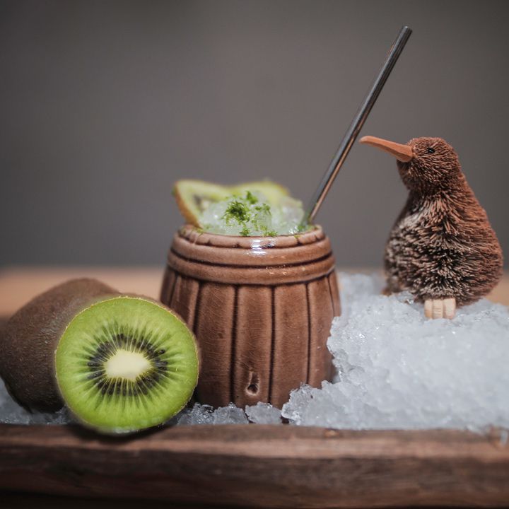 Kiwi Bird