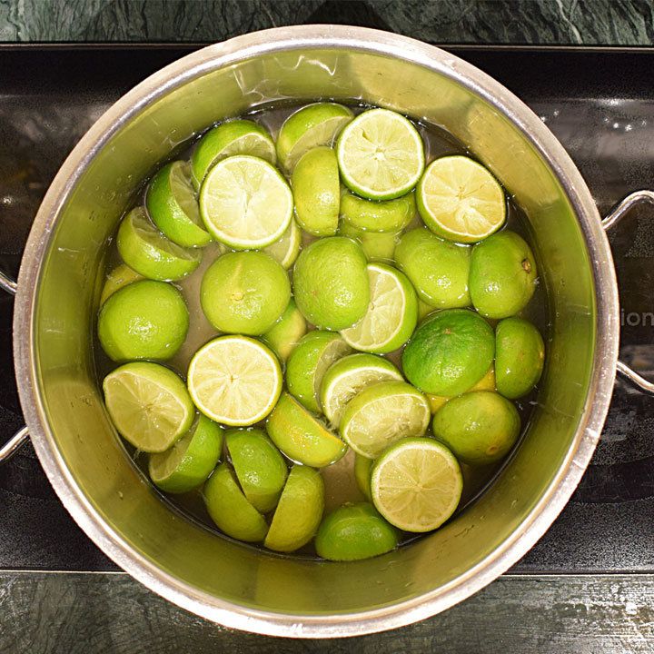 Trash Collective Citrus Stock